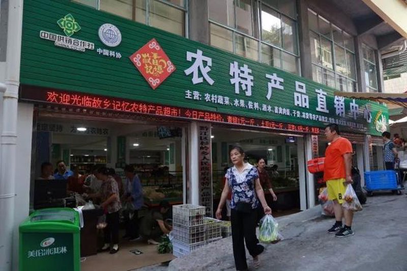 实战攻略：如何打造高效生态农业园区
