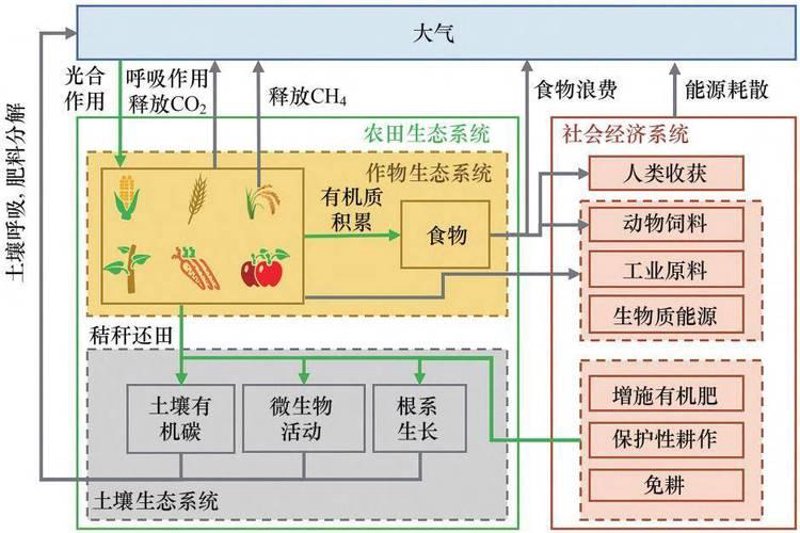 永续农业：一种可持续的耕作方式